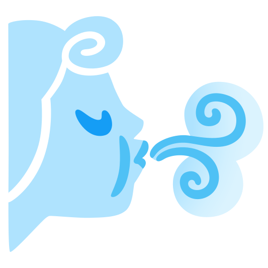 The wind face emoji.