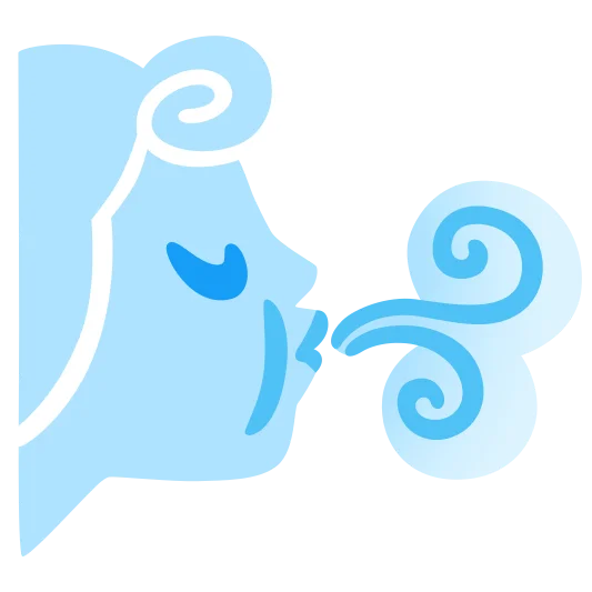 The wind face emoji.