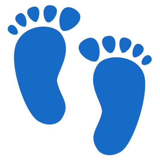 The footprints emoji.