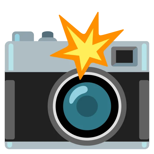 The camera with flash emoji.