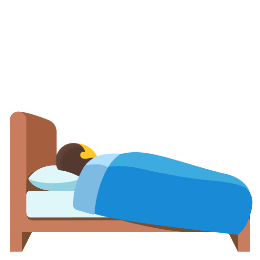 The person in bed emoji.