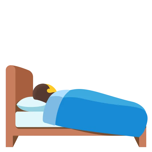 The person in bed emoji.