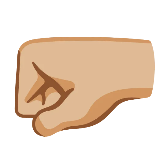 The left-facing fist: medium-light skin tone emoji.