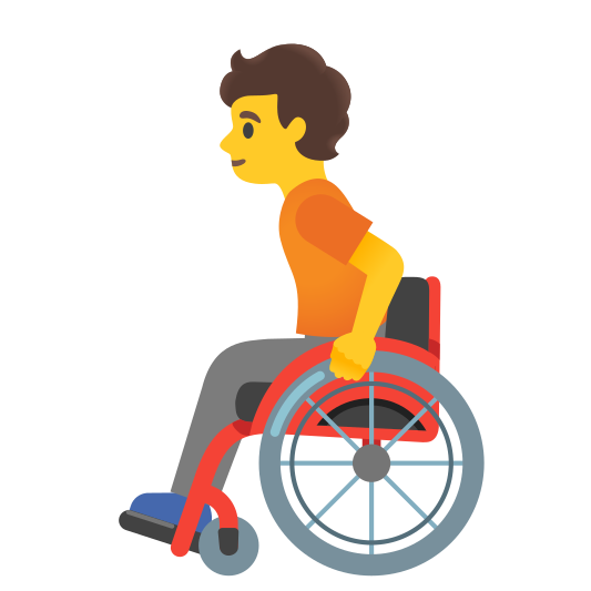 The person in manual wheelchair emoji.