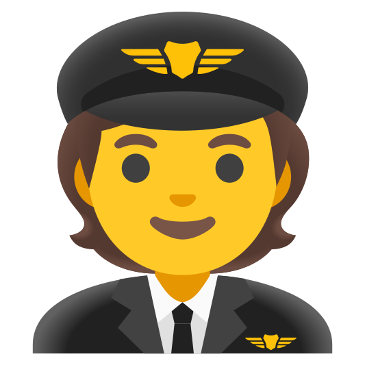 The pilot emoji.