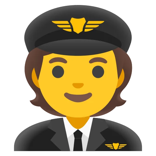 The pilot emoji.