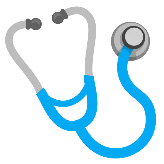 The stethoscope emoji.
