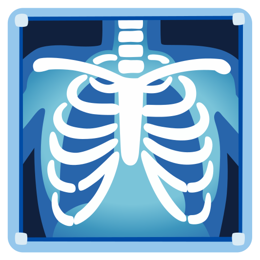 The x-ray emoji.