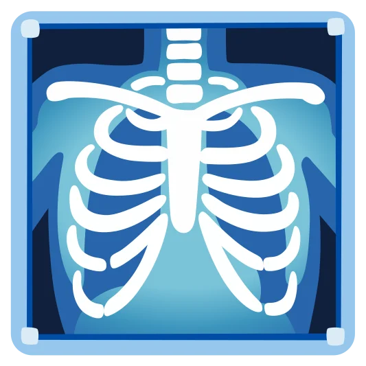 The x-ray emoji.