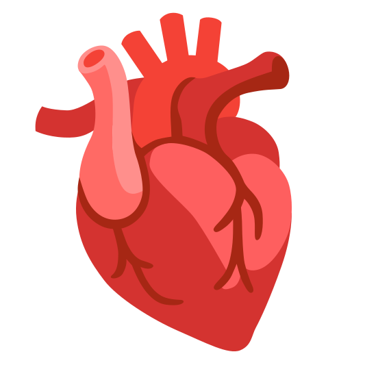 The anatomical heart emoji.