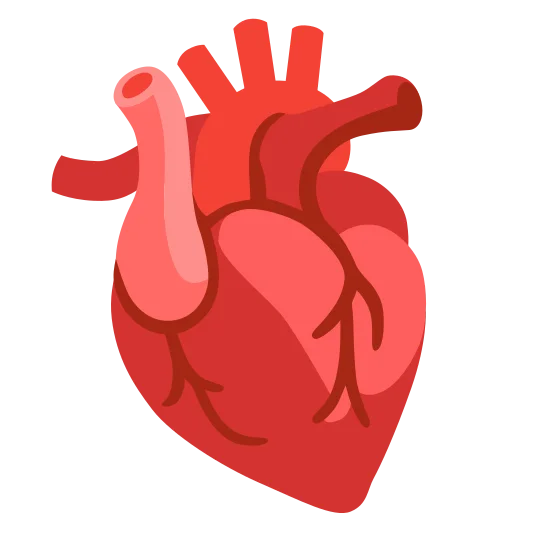 The anatomical heart emoji.