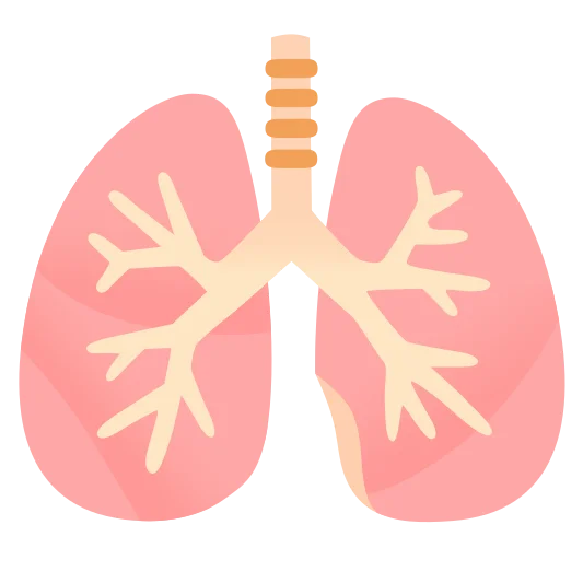 The lungs emoji.