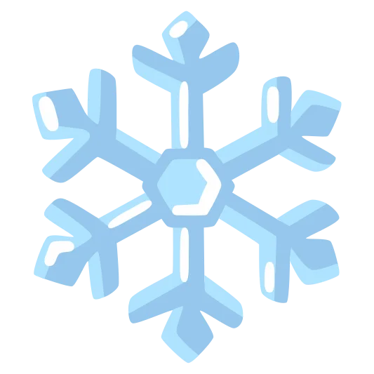 The snowflake emoji.